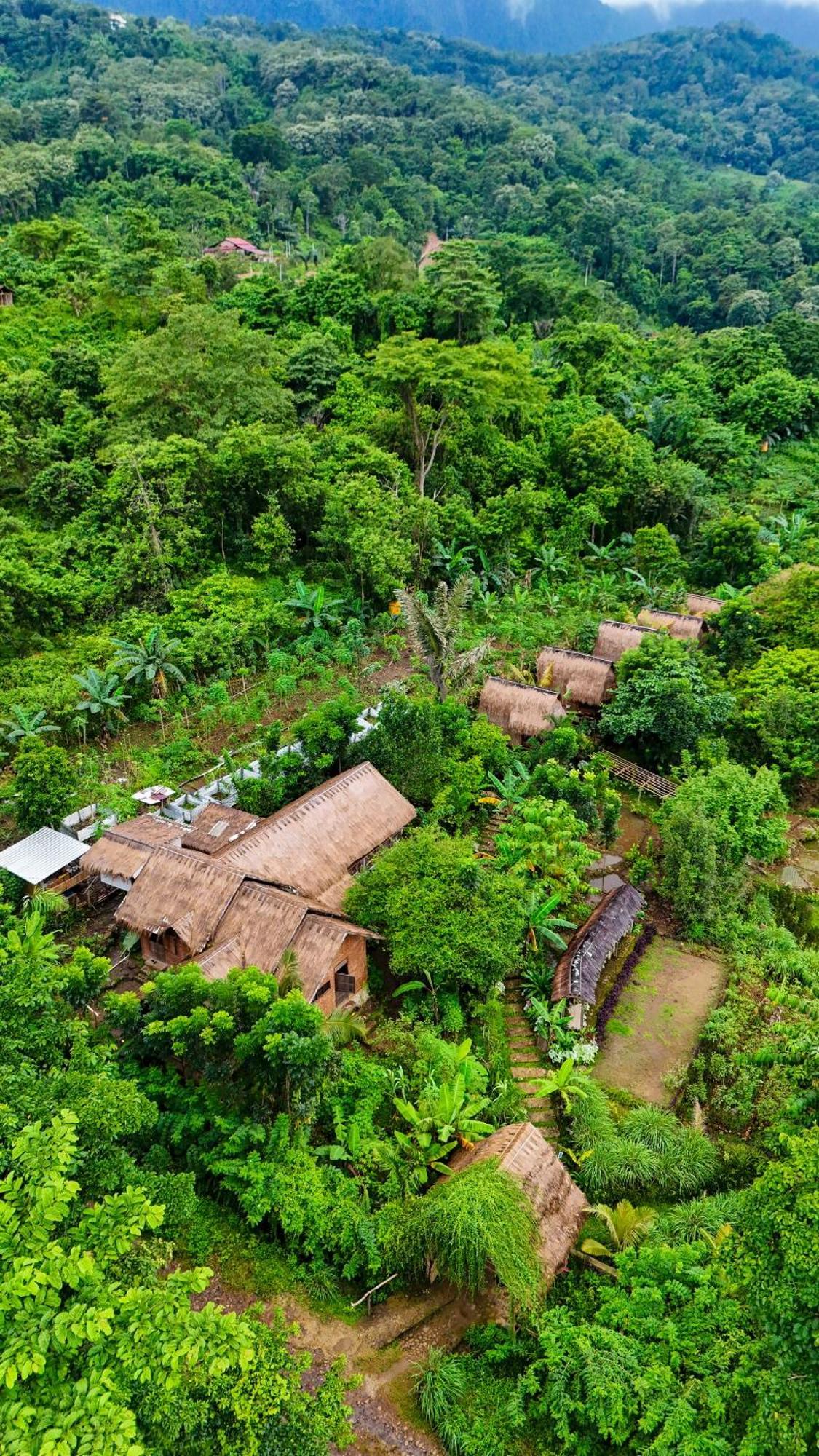Sten Lodge eco Homestay&restaurant Labuan Bajo Esterno foto